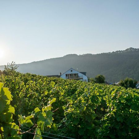 Weingut Johanneshof Minheim 외부 사진