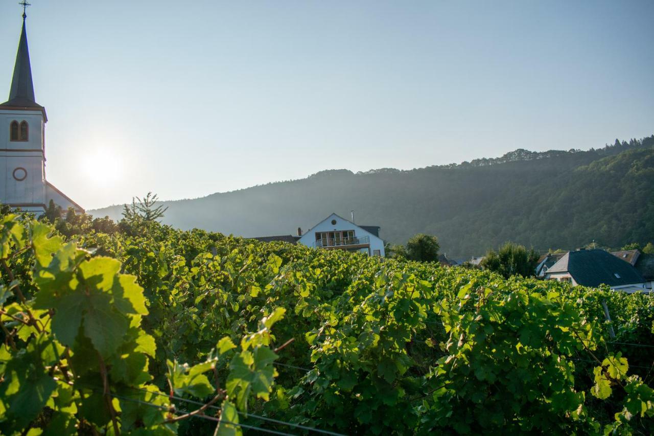 Weingut Johanneshof Minheim 외부 사진